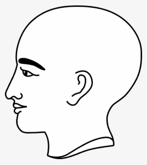 Bald Clipart Bold Man - Head Profile Bald Png