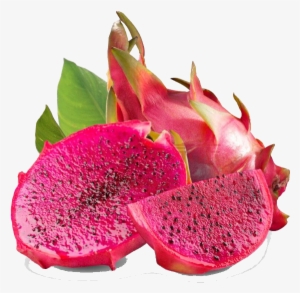 Dragon Fruit Is Usually Oval Elliptical Or Pear-shped - Red Dragon Fruit