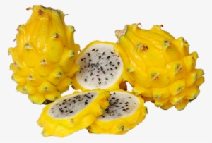 Png Transparent Dragon Fruit Pitaya - Pitahaya Yellow