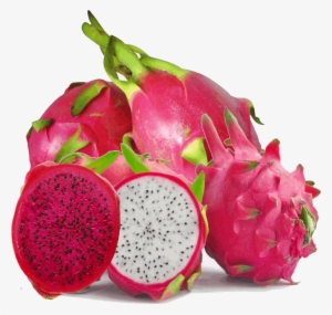 Dragon fruit png images  PNGWing