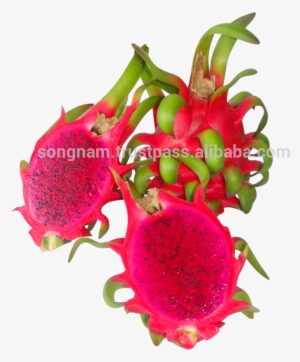 Song Nam Red Flesh Dragon Fruit From Vietnam - Pitaya