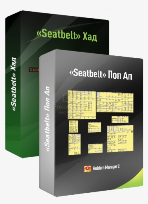«seatbelt» Set Photo - Price