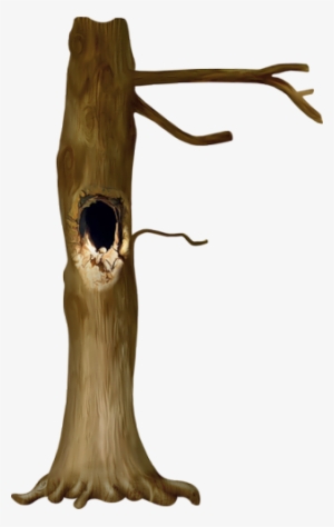 Photo From Album "nld An Eternal Story" On Yandex - Tree With A Hole Png