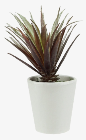 Northlight Artificial Aloe Succulent Desk Top Plant