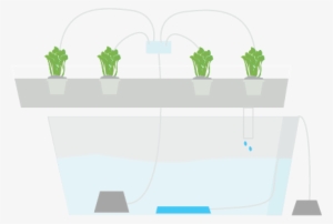 Hydroponic Definite Guide - Hydroponics