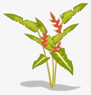 Free To Use Public Domain Plants Clip Art - Tropical Plant Transparent Clipart