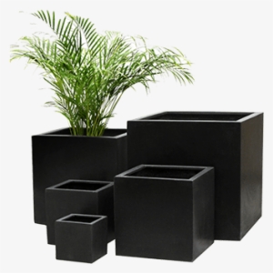 Decorative Containers - Interior Plantscapes