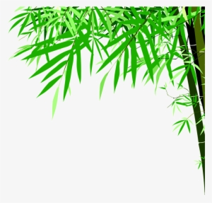 Green Bamboo High Definition Beauty Png - Illustrator Bamboo Vector Png