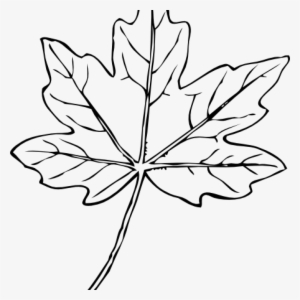 Maple Leaf Clipart Maple Leaf Clip Art At Clker Vector - Leaf Clipart White Png