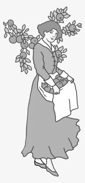 Thanksgiving Drawing Woman With Apples - Thanksgiving Clipart Black And White