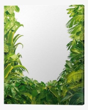 Jungle Plant Frame