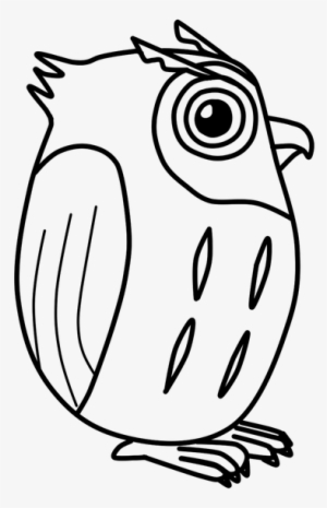 Owl, Vector, Cute, Bird - Owl