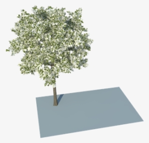 I Have Problem With Leaves Using Trees From Skatter - Plane