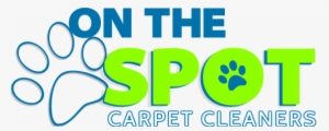 Ulimate Guide To Cleaning And Maintenance - Carpet Cleaning