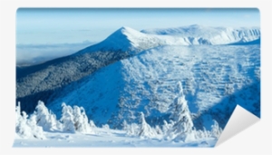 Winter Mountain Panorama With Snowy Trees Wall Mural - Sea