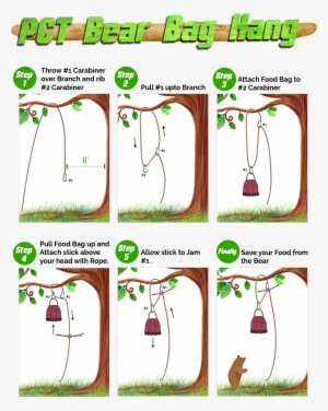 Pct Bear Hang Method With Steps