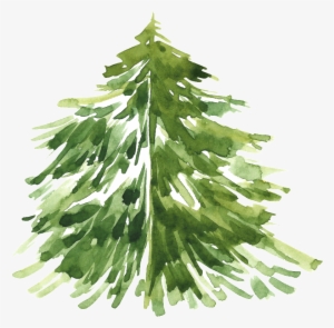 Pintado Cartoon Christmas Tree Png Transparente - Aquarelle Sapin De Noel