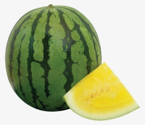 It Is Hollow In Cross-section, With A Relatively Thin - Watermelon