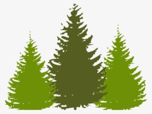 Redwood Tree Cliparts - Pine Tree Clip Art Silhouette