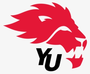York Lions Logo