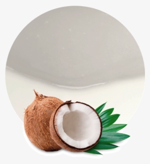 Coconut Water Concentrate