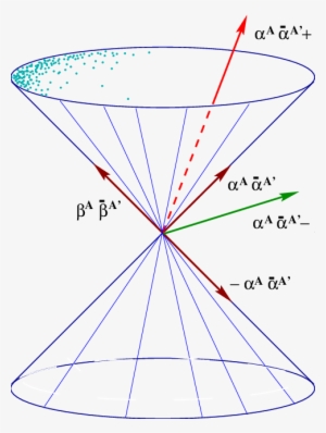 Svg Transparent Stock Causal Structure Of Four - Four Dimensional Space Time