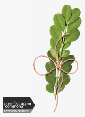 Sweet Spring - Leafy Branch - Digital Scrapbooking