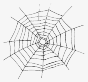 Imagen - Spider Web Vector Eps