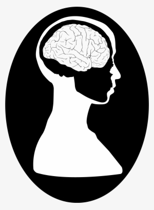 Brain In Head
