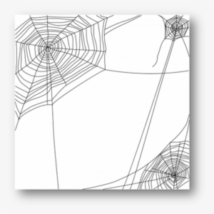 Spiderweb - Spider Web