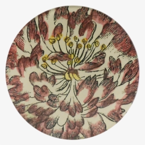 Pink Tipped Rose - Chrysanths
