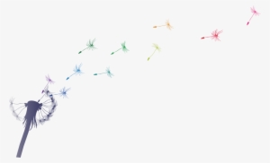 A Drawing Of A Dandelion Seed Head With Rainbow Coloured - Fly: Live From Ireland: Songs Of Praise