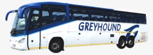 Greyhound, Citiliner And Our Most Trusted Cousin, Mega - Greyhound Citiliner