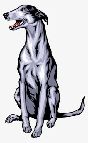 Vector Illustration Of Greyhound Race Dog Sitting - Greyhound Dog Clipart