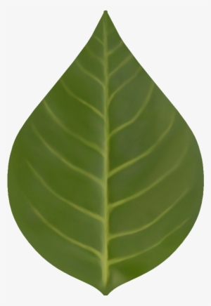 D Eq Folha - Houseplant