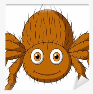 Spider Cartoon