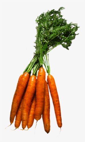 Hiperligações - Figuras De Verduras E Legumes