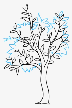 403 4037934 how to draw fall tree draw fall