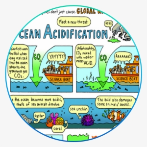 Greehouse Gases Don't Just Cause Global Warming - Ocean Acidification