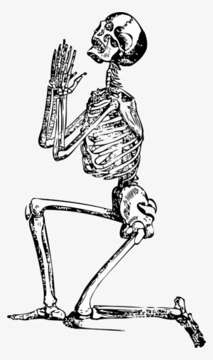 Best 50 Skeleton Clipart Images Free Download 【2018】 - Skeleton Drawing