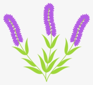 Hyacinth - 0shares - Flower