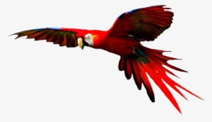 Macaw Clipart Hyacinth Macaw - Scarlet Macaw Transparent Background