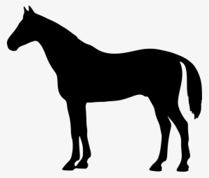 The Horse, Konik, Animal, Is, The Stroke, Shape, Shadow - Mastiff Silhouette