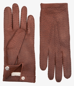 Siena Drak Brown Peccary Unlined Palm Button Gloves - Suede