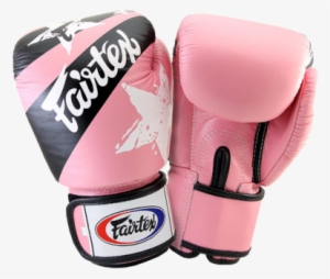 Fairtex Boxing Gloves Bgv8