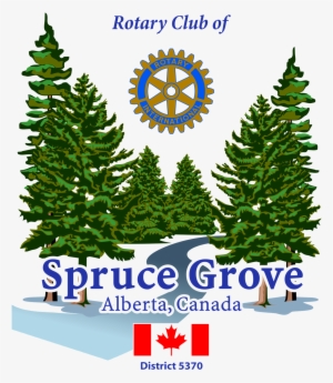 The Stony Plain Reporter/grove Examiner Published An - Blame It On The Spruce Budworm