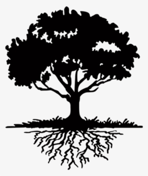 Tree Png - Colossians 2 7