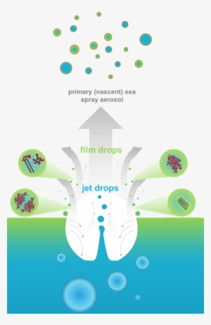 Sea Spray Aerosols Are Generated From From Bubbles - Research