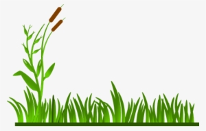 Grass Lawn Green Cat O' Nine Tails Plants - Green Grass Clipart