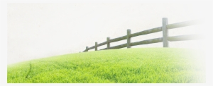 Organic Prairie - Split-rail Fence